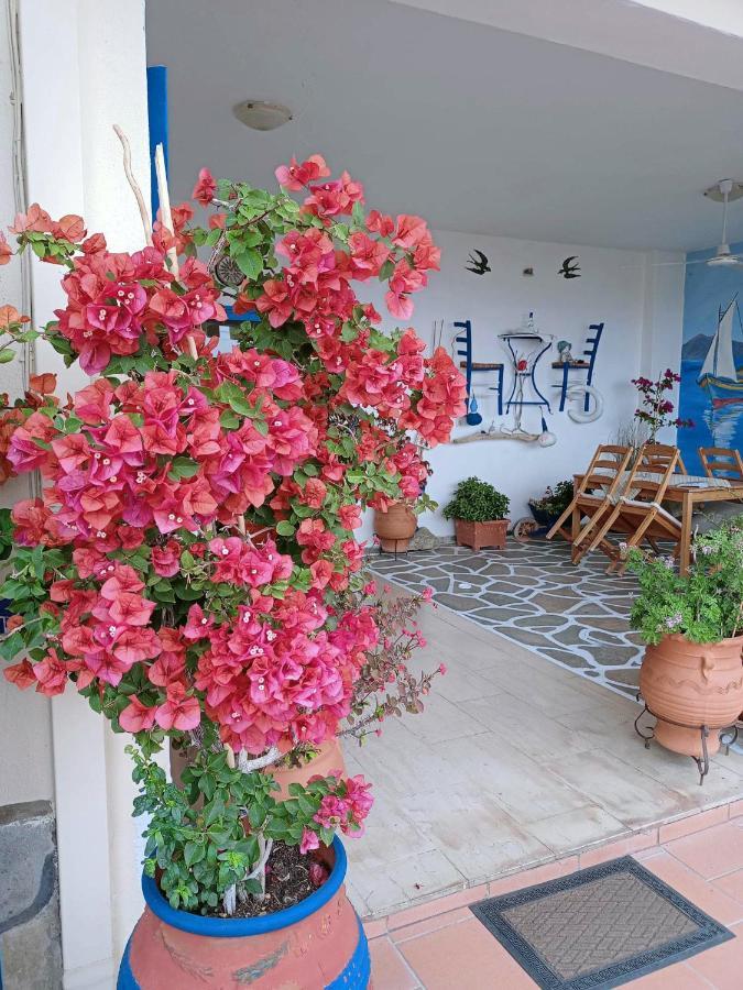 Alexia House Apartamento Néos Marmarás Exterior foto